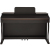 Antares W-600 BR
