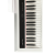 Antares D-360 W